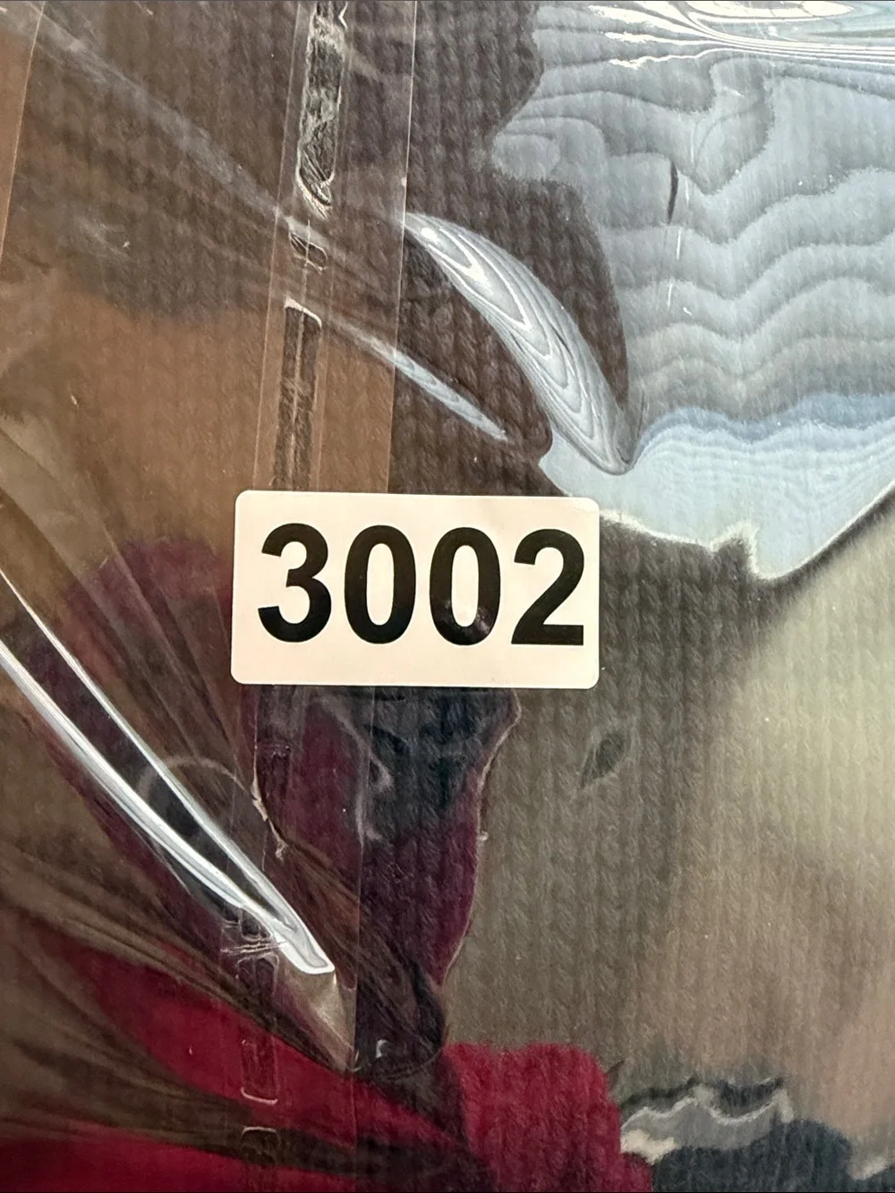 Polo Ralph Lauren nwt carefully